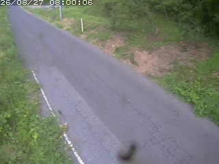 鳥取市洞谷