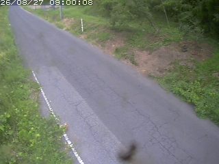 鳥取市洞谷