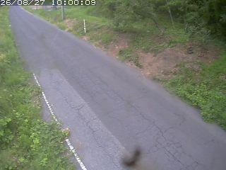 鳥取市洞谷