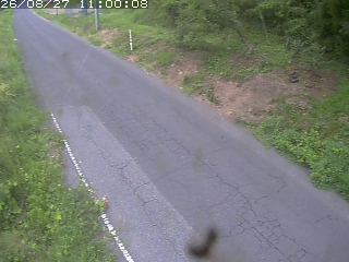 鳥取市洞谷