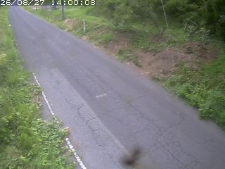 鳥取市洞谷