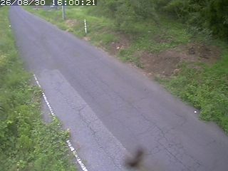 鳥取市洞谷