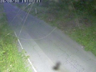 鳥取市洞谷