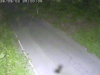鳥取市洞谷