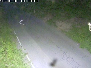 鳥取市洞谷