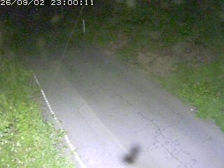 鳥取市洞谷