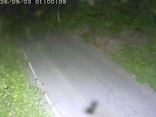 鳥取市洞谷