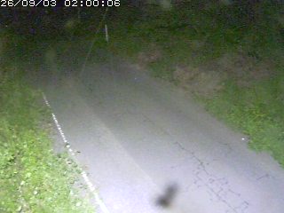 鳥取市洞谷