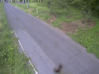 鳥取市洞谷