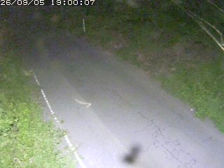 鳥取市洞谷