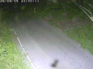 鳥取市洞谷