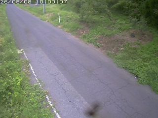 鳥取市洞谷