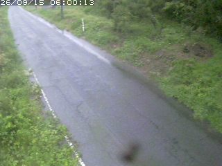 鳥取市洞谷