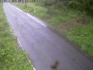 鳥取市洞谷