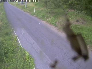 鳥取市洞谷