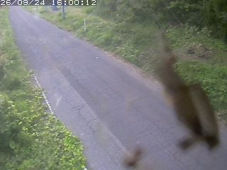 鳥取市洞谷