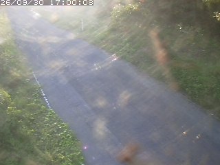 鳥取市洞谷
