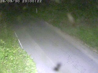 鳥取市洞谷