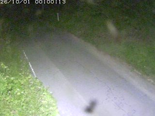 鳥取市洞谷