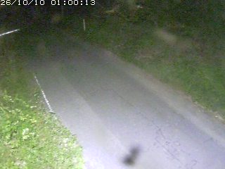 鳥取市洞谷