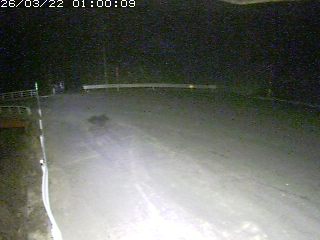 鳥取市河内（安蔵）