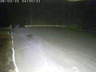 鳥取市河内（安蔵）