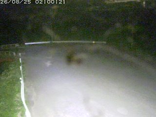 鳥取市河内（安蔵）
