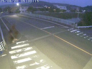 青谷町青谷【青谷大橋】