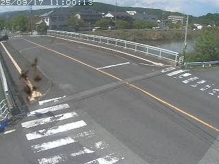 青谷町青谷【青谷大橋】