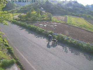 青谷町絹見