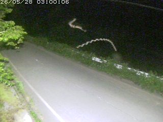 青谷町絹見