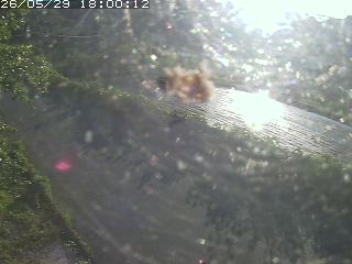 青谷町絹見