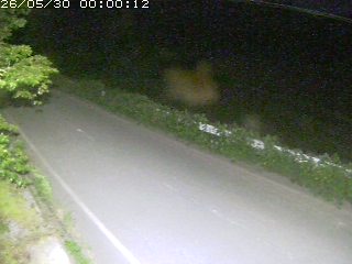 青谷町絹見
