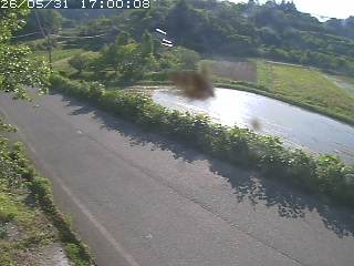 青谷町絹見