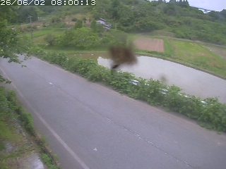 青谷町絹見