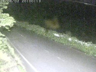 青谷町絹見
