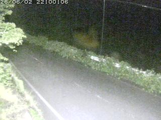 青谷町絹見