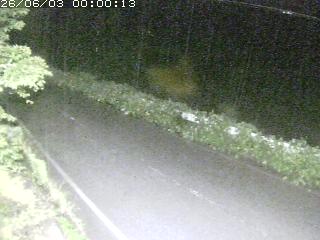 青谷町絹見