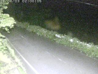 青谷町絹見