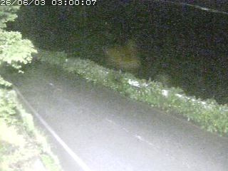 青谷町絹見