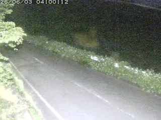青谷町絹見