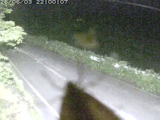 青谷町絹見
