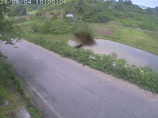 青谷町絹見
