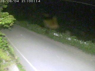 青谷町絹見