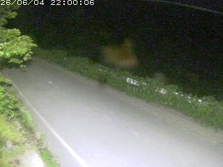 青谷町絹見