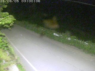 青谷町絹見