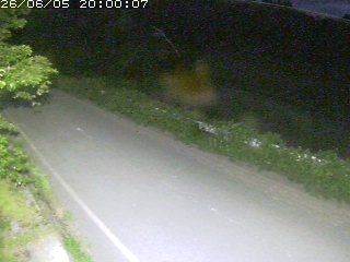 青谷町絹見