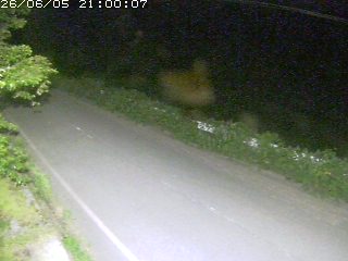 青谷町絹見
