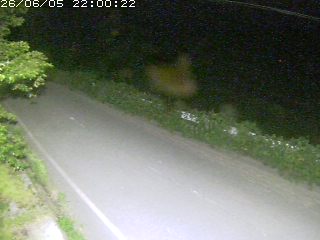 青谷町絹見