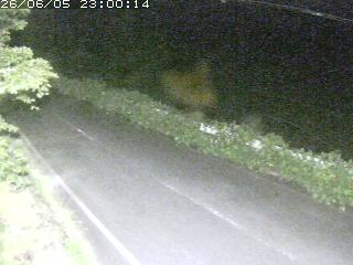 青谷町絹見